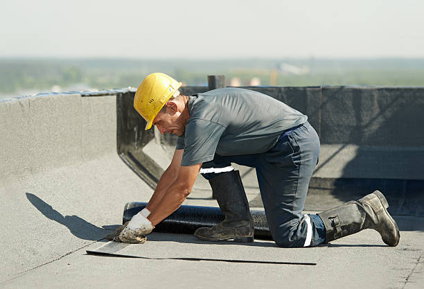 Best Crawl Space Insulation  in Porters Neck, NC